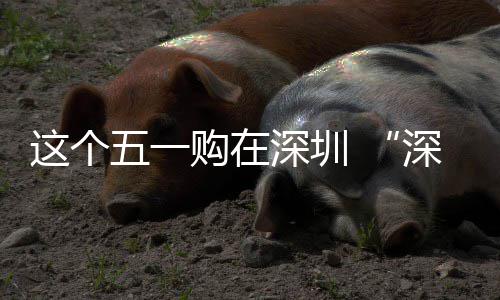 活动开购在深圳深圳五一这个之约启享生 畅促消费活
